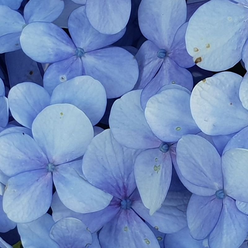 IMAGENES-HOME-27