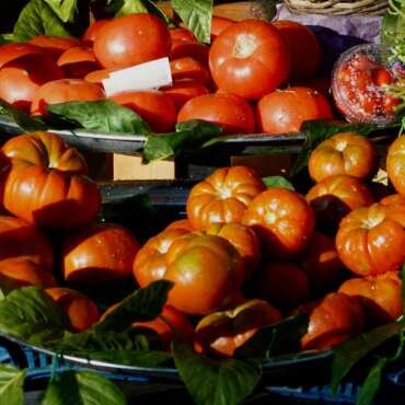 Orthorexia – The wolf in sheep’s clothing